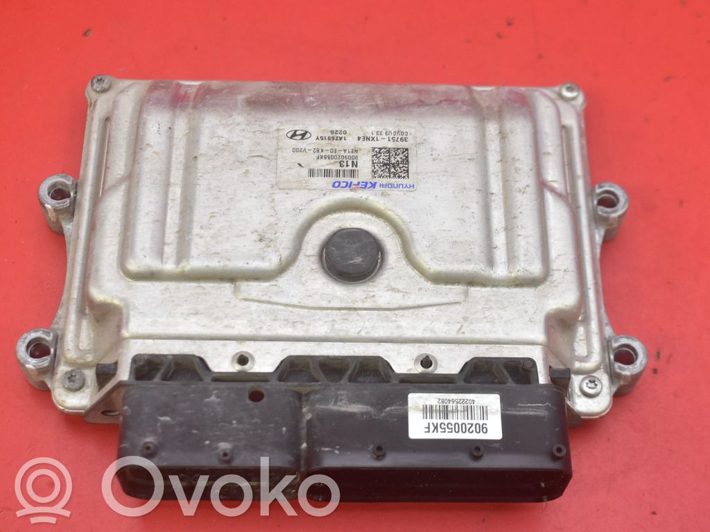 Hyundai Ioniq Unitate control motor/modul ECU 