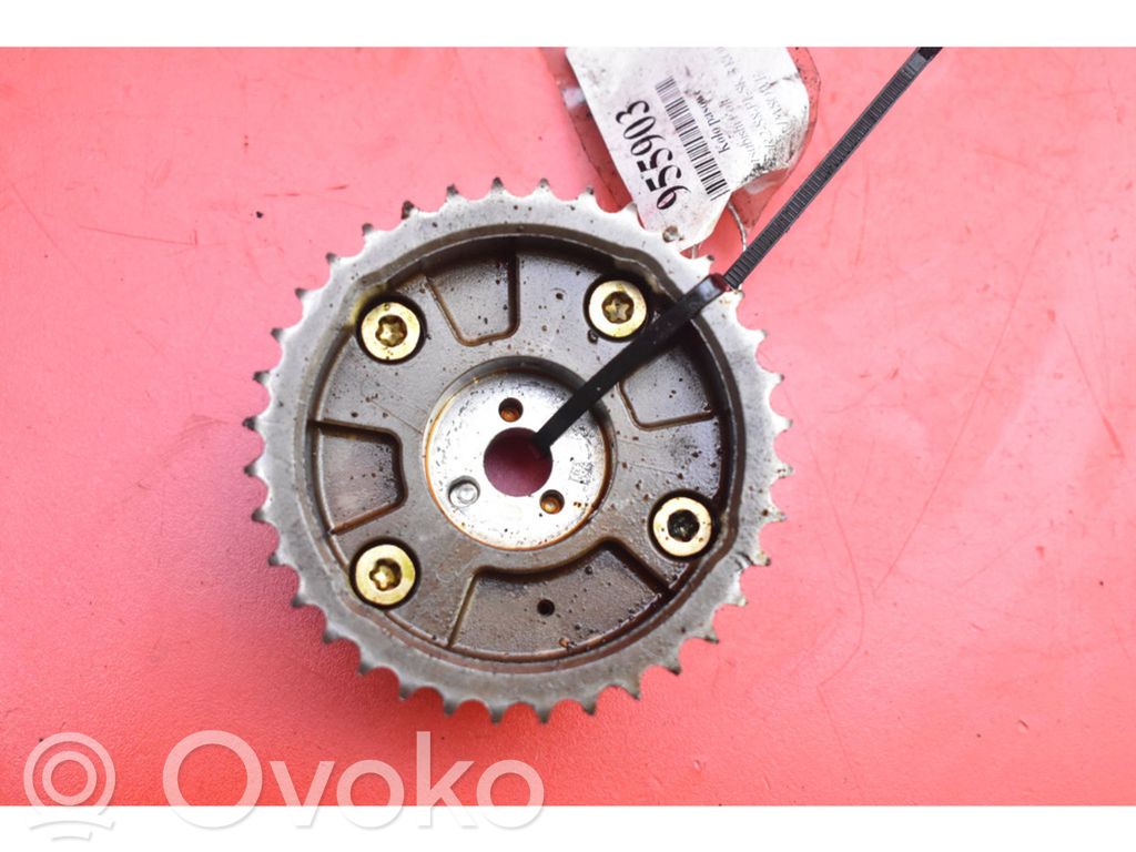 Fulie vibrochen   MN137483,MN137483