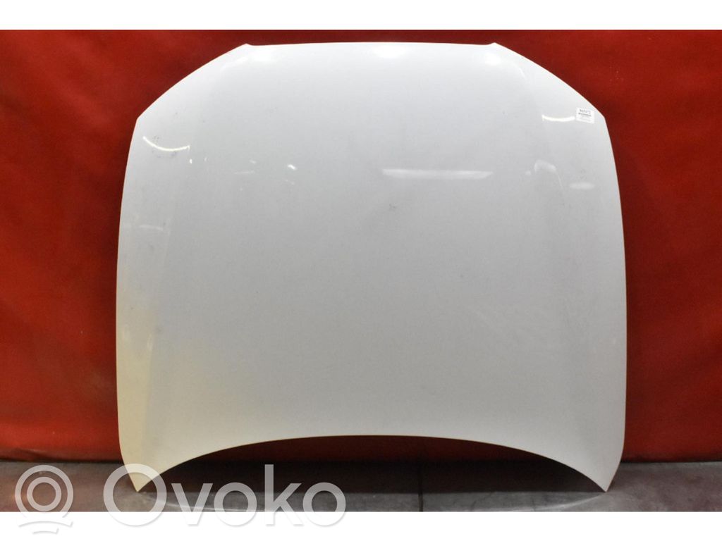 Vano motore/cofano