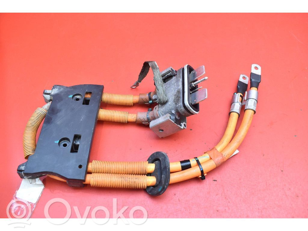 Tesla Model S Other wiring loom 