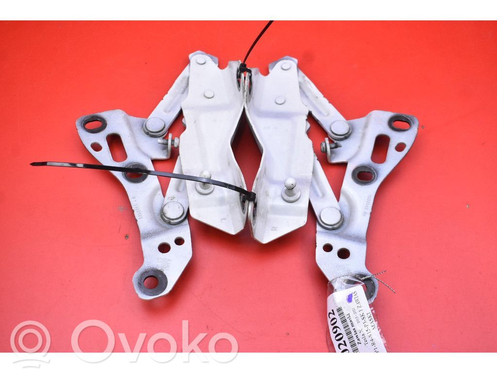 Tesla Model X Engine bonnet/hood hinges 