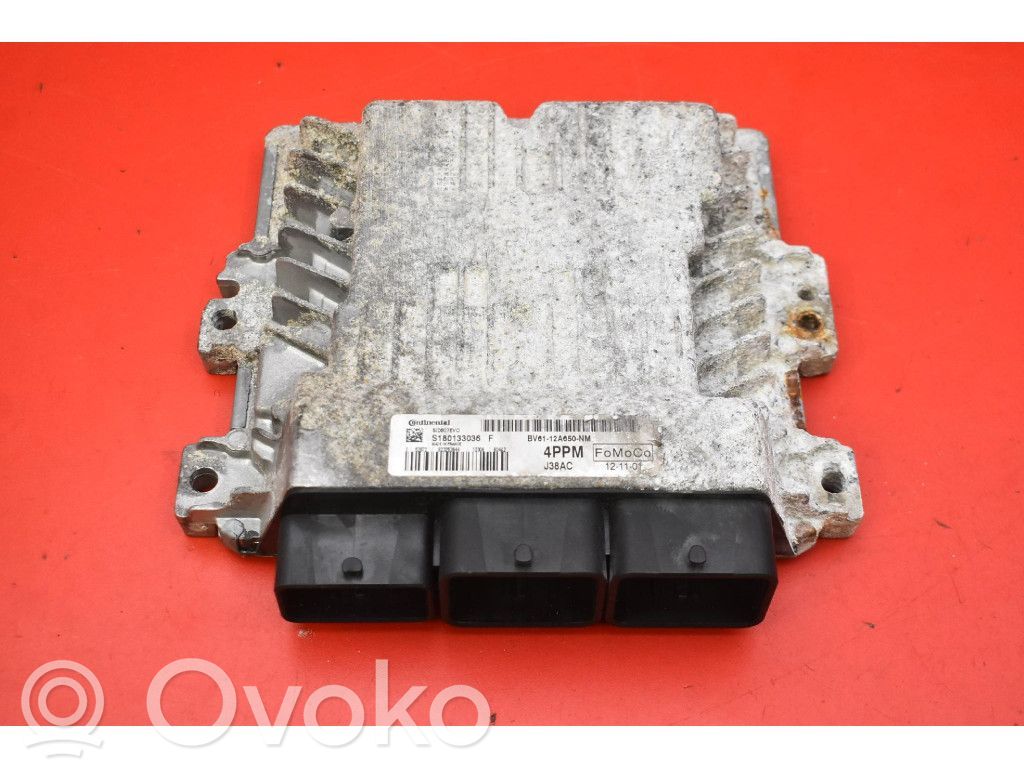 Ford Focus Engine control unit/module ECU 