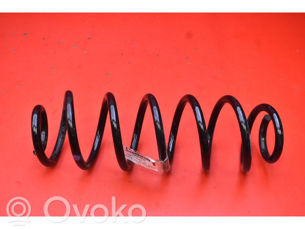 Rear coil spring