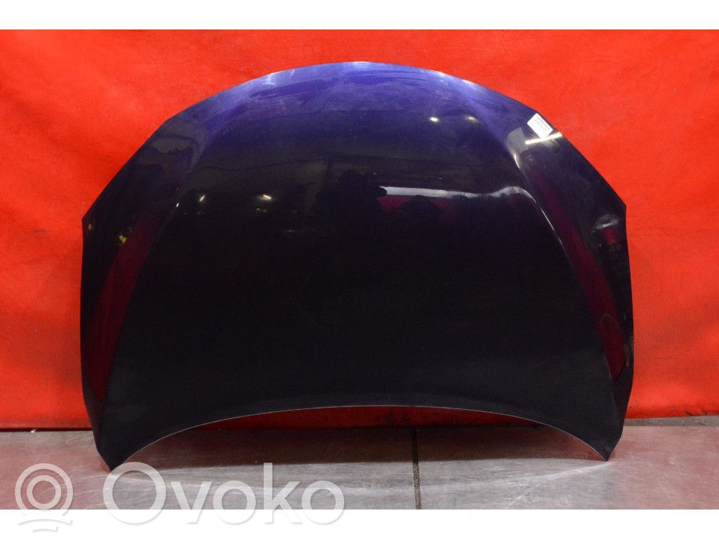 Motorhaube
