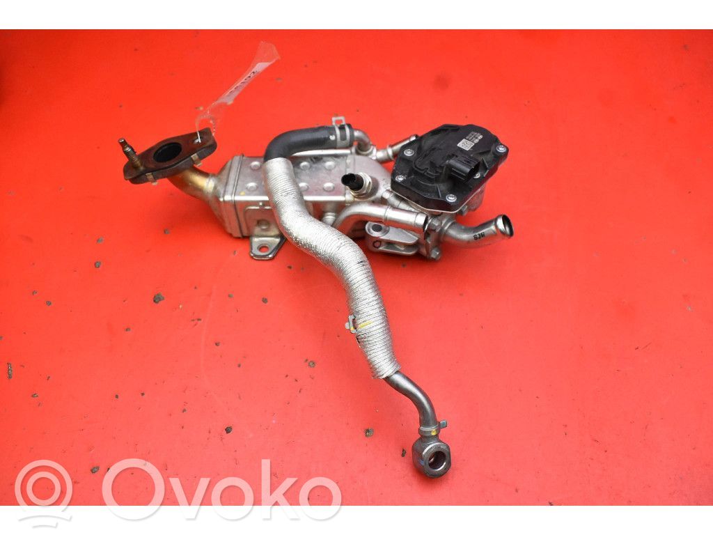 Hyundai Tucson JM Răcitor supapă EGR 