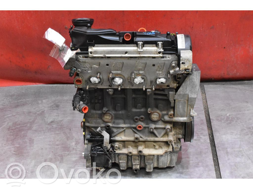 Seat Ibiza IV (6J,6P) Motore