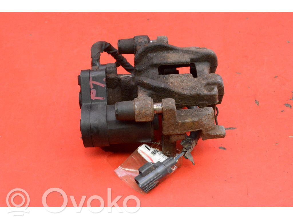 Takajarrusatula   DG9C2D250D,DG9C2D250D