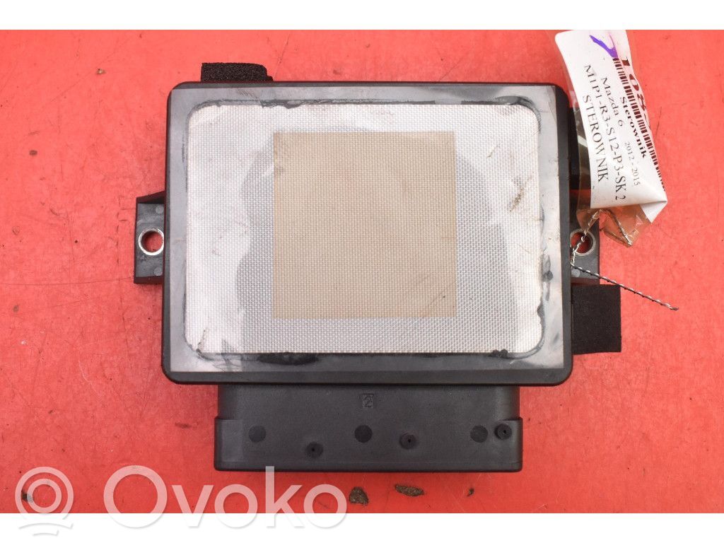 Engine control unit/module ECU   234299101,234299101