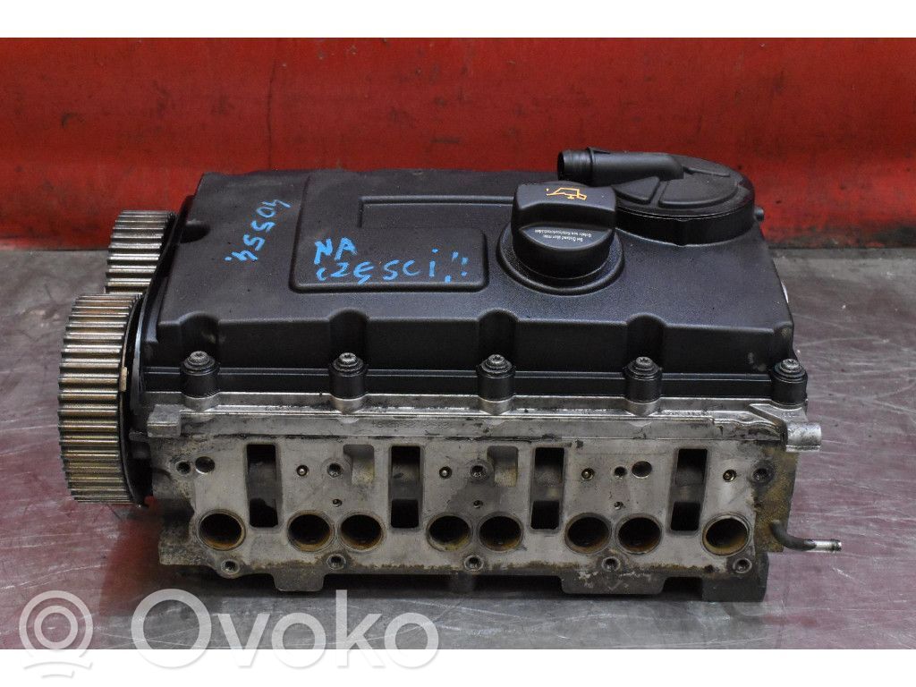 Skoda Octavia Mk2 (1Z) Chiulasă motor