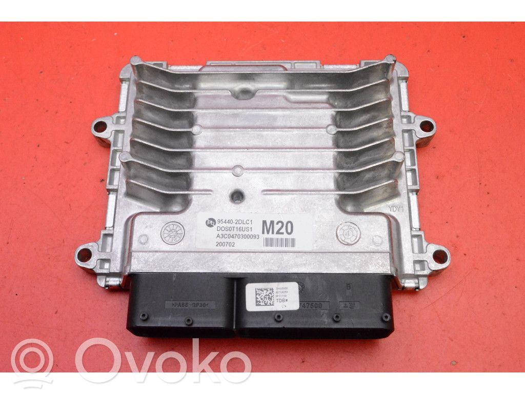 Centralina/modulo motore ECU   954402DLC1,954402DLC1