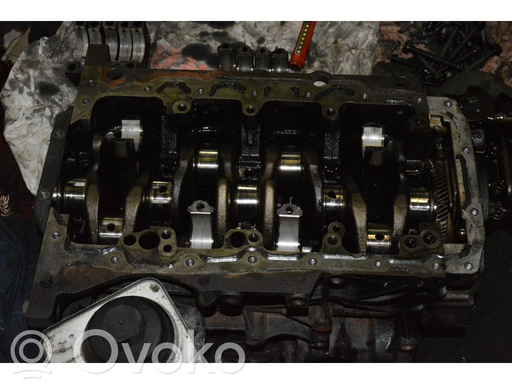 Volkswagen PASSAT B6 Blokas 