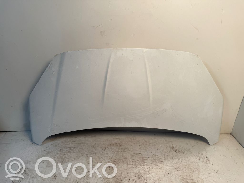 Dzinēja pārsegs (vāks)