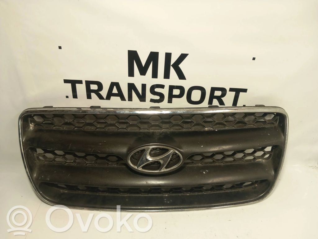 Hyundai Santa Fe Etusäleikkö 