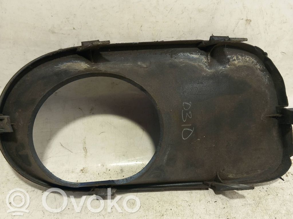 BMW X5 E53 Moldura/rejilla de la luz antiniebla delantera 