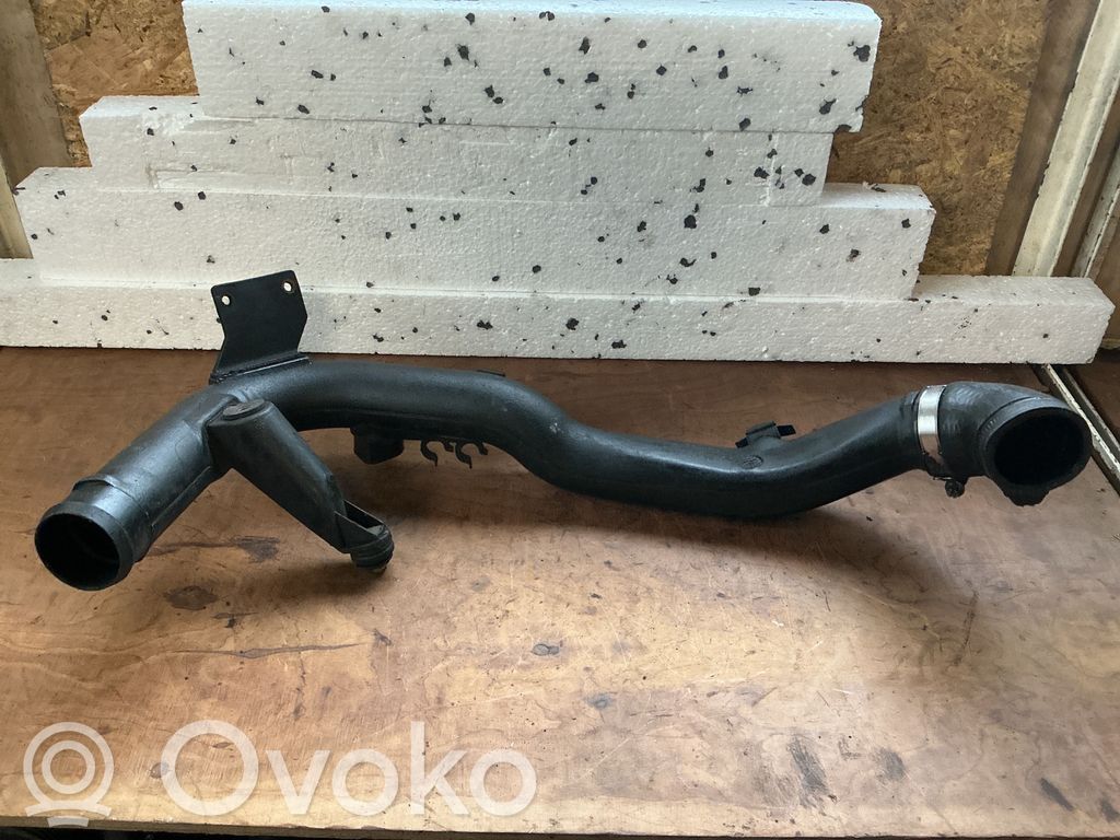 Volkswagen PASSAT B5 Interkūlera šļūtene (-es) / caurule (-es) 