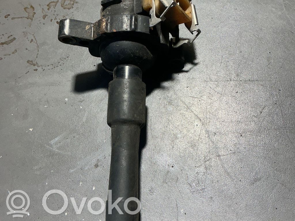 Aukštos įtampos ritė "babyna"   1748017