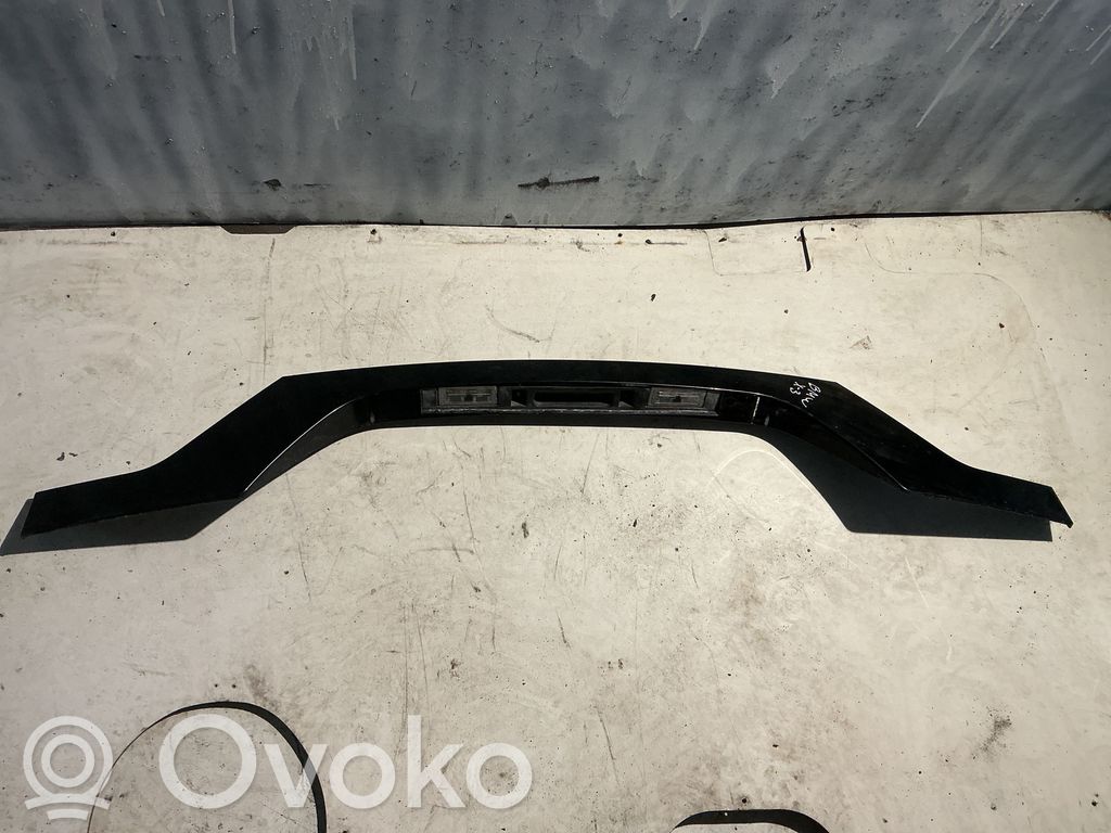 BMW X3 E83 Moldura de la puerta trasera 