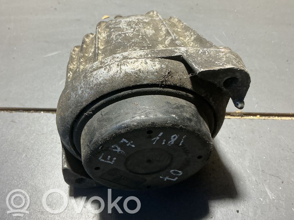 Dzinēja spilvens   13981112