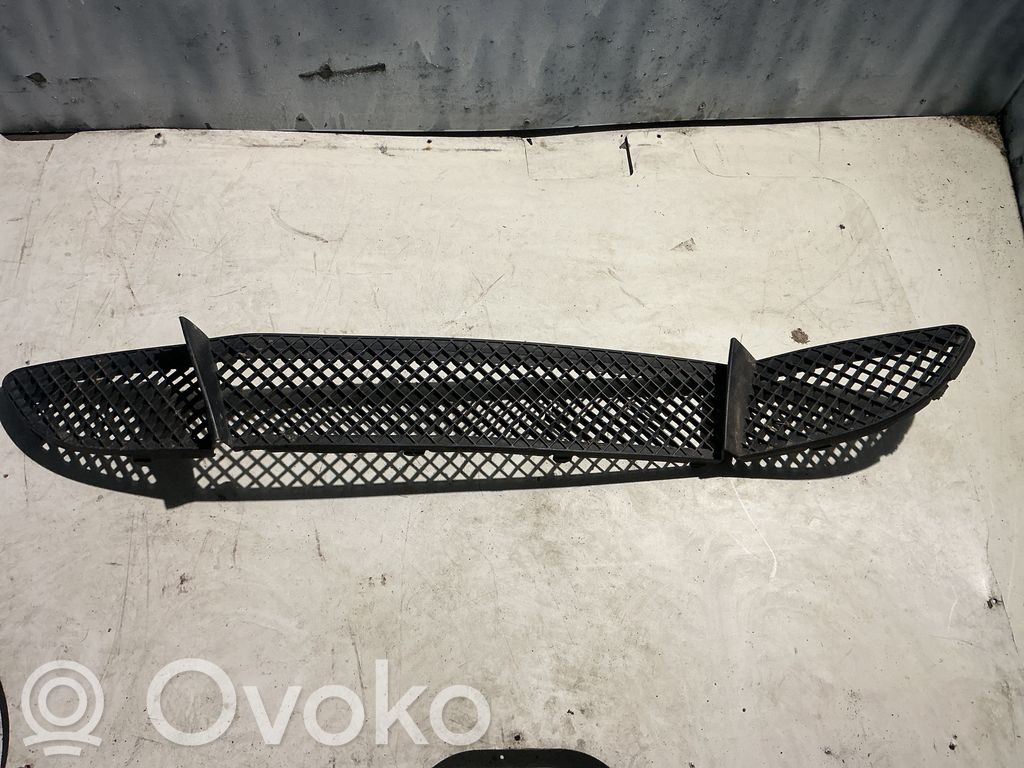 BMW 1 E81 E87 Front bumper lower grill 
