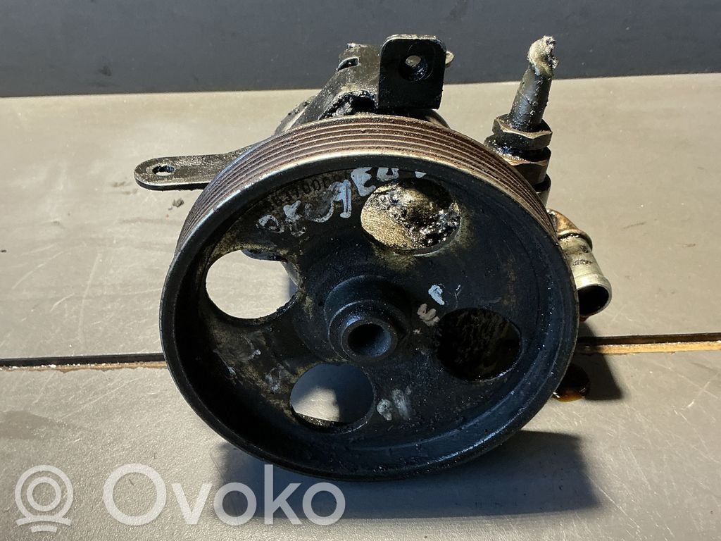 Peugeot 206 Pompa servosterzo 