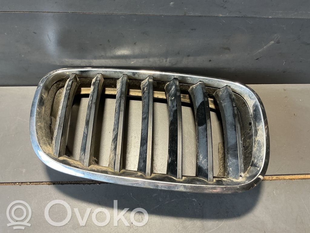 BMW X5 E70 Oberes Gitter vorne 