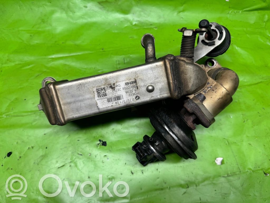 BMW 3 E90 E91 EGR dzesētājs 