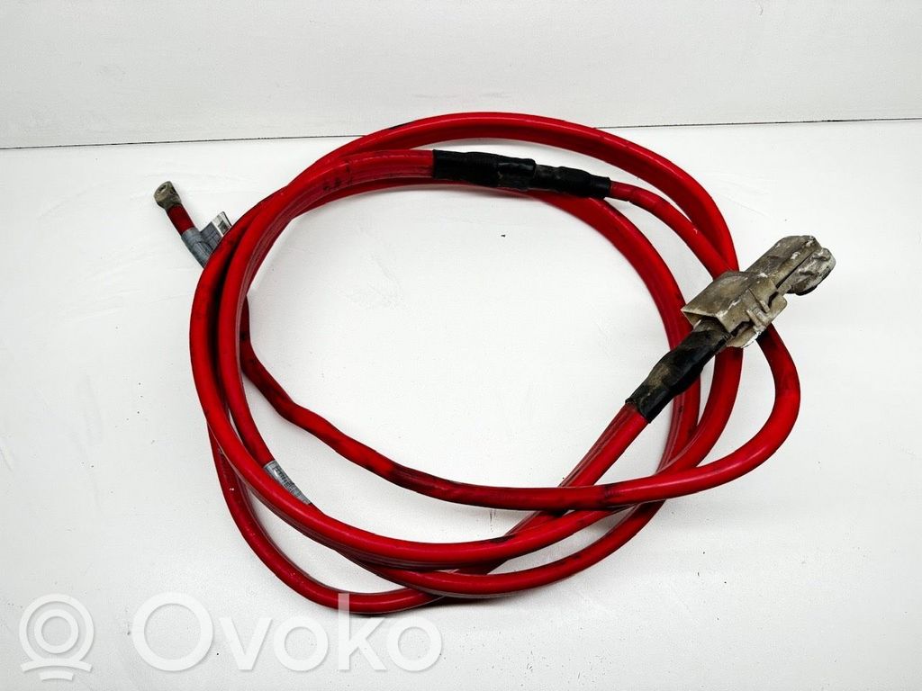 Plus / Klema / Przewód akumulatora   9176953,EG177W,61081832,5640036,842010