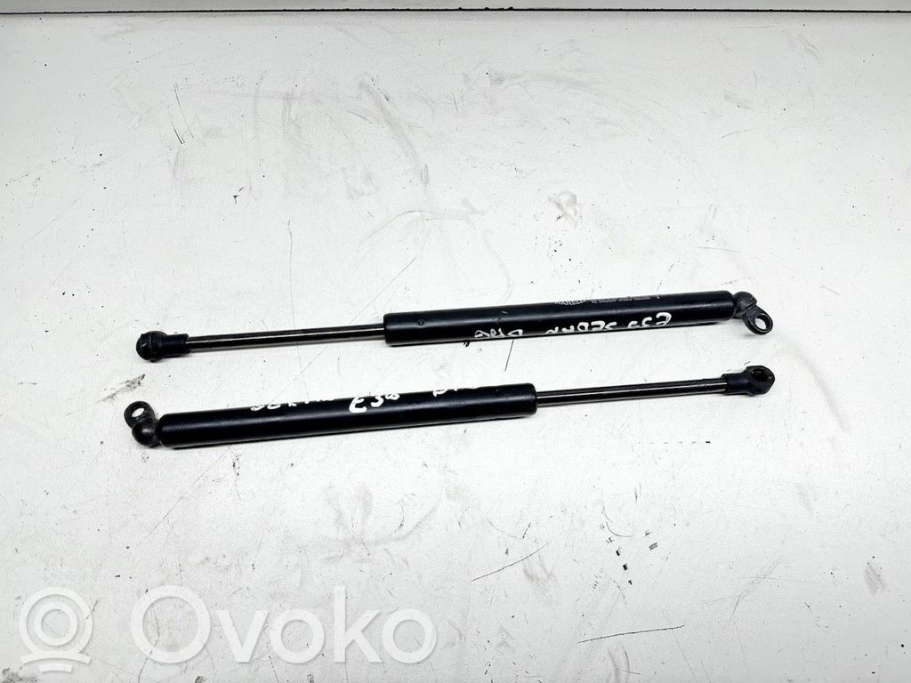 BMW 5 E39 Muelle neumático del maletero/compartimento de carga 