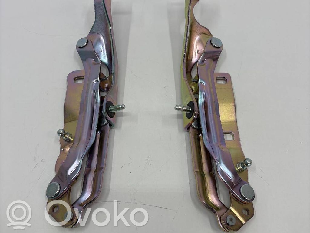 Tesla Model 3 Tailgate/trunk/boot hinge 