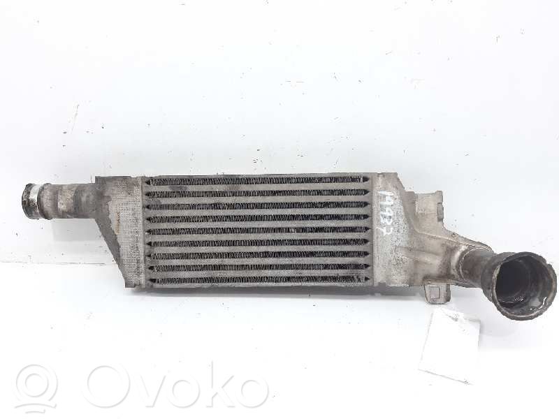Radiatore intercooler   24466787