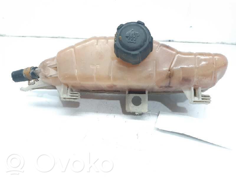 Renault Clio III Aušinimo skysčio išsiplėtimo bakelis 