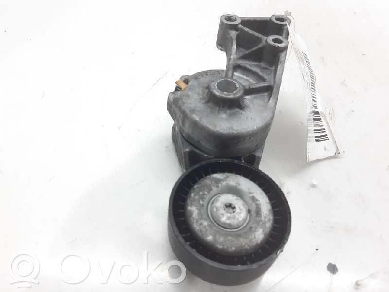Seat Leon (1M) Întinzător curea generator/alternator 