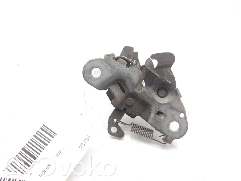 Tie down hook / loop   793471
