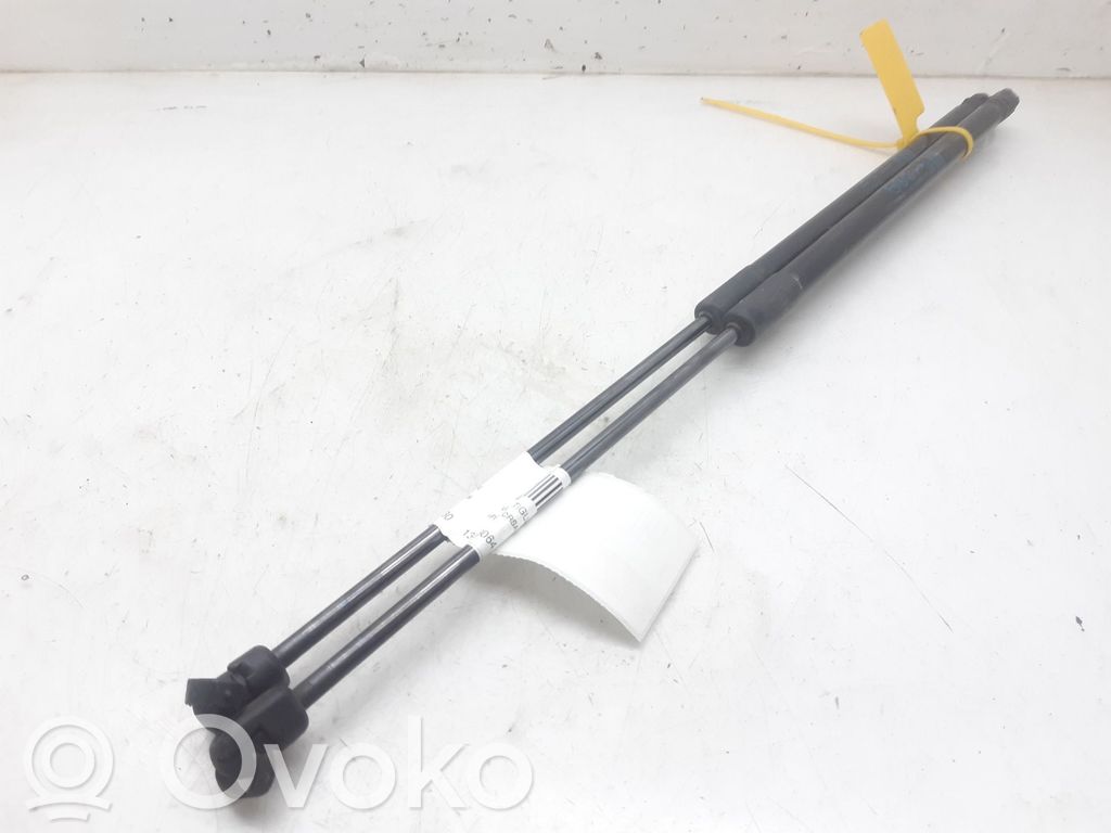 Tailgate/trunk strut/damper   13428064