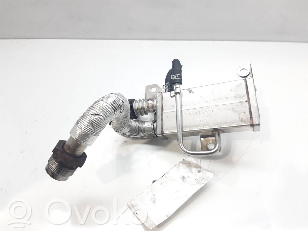Mazda MPV II LW Refrigerador de la válvula EGR 