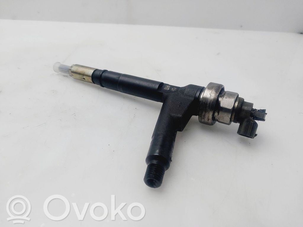 Injector combustibil   8973138612