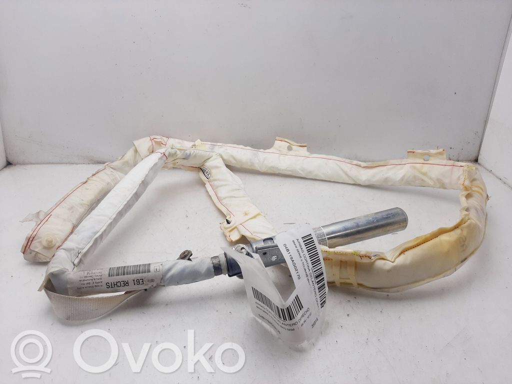 Airbag del techo   04B119AG02170