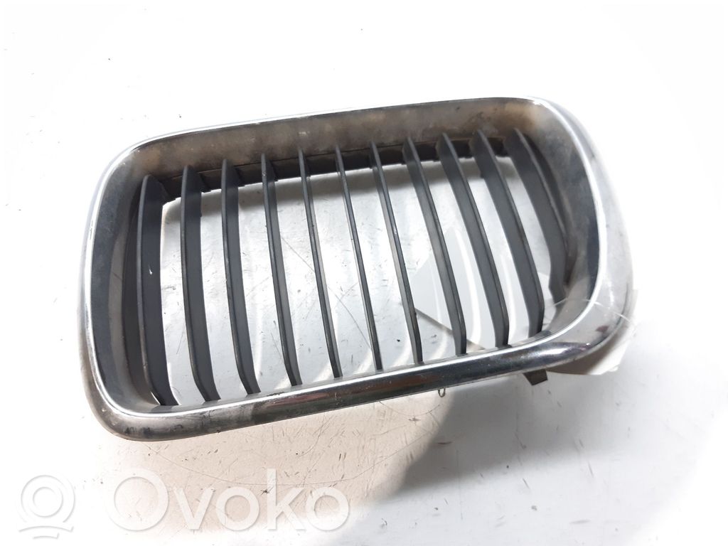 Front grill   51138185801