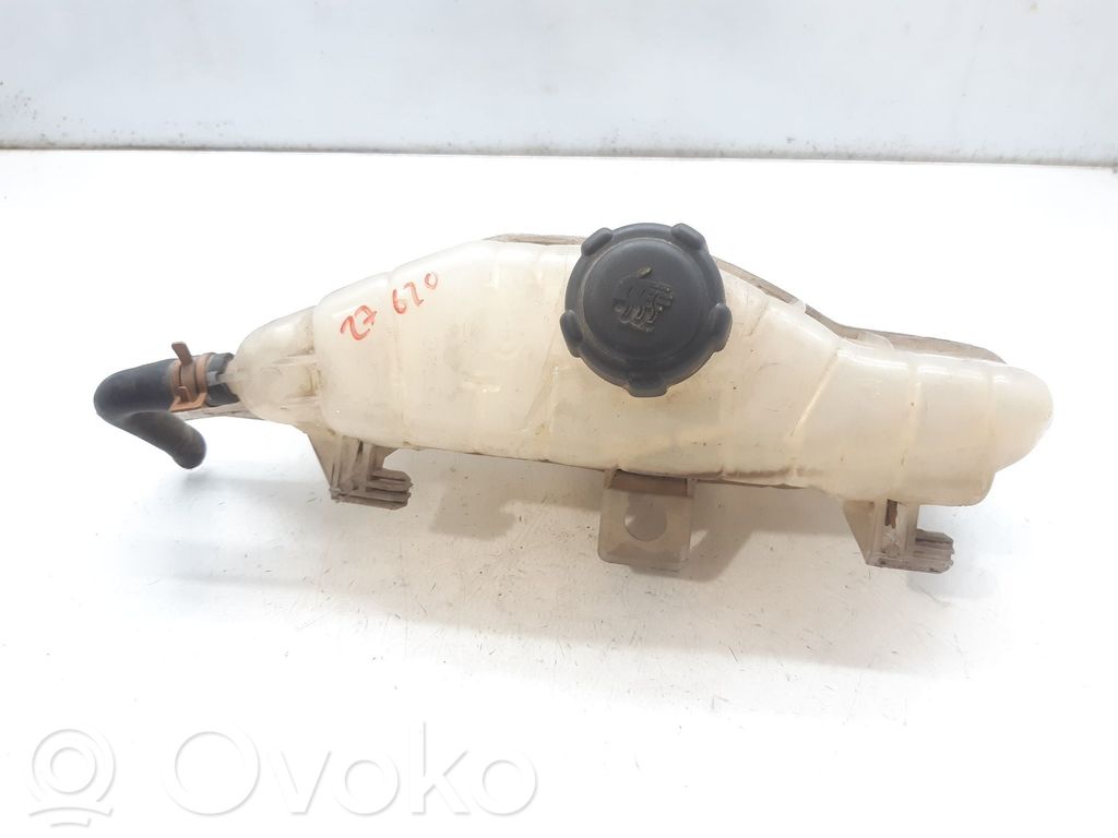 Renault Clio III Aušinimo skysčio išsiplėtimo bakelis 