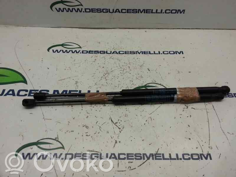 Lancia Ypsilon Tailgate/trunk strut/damper 