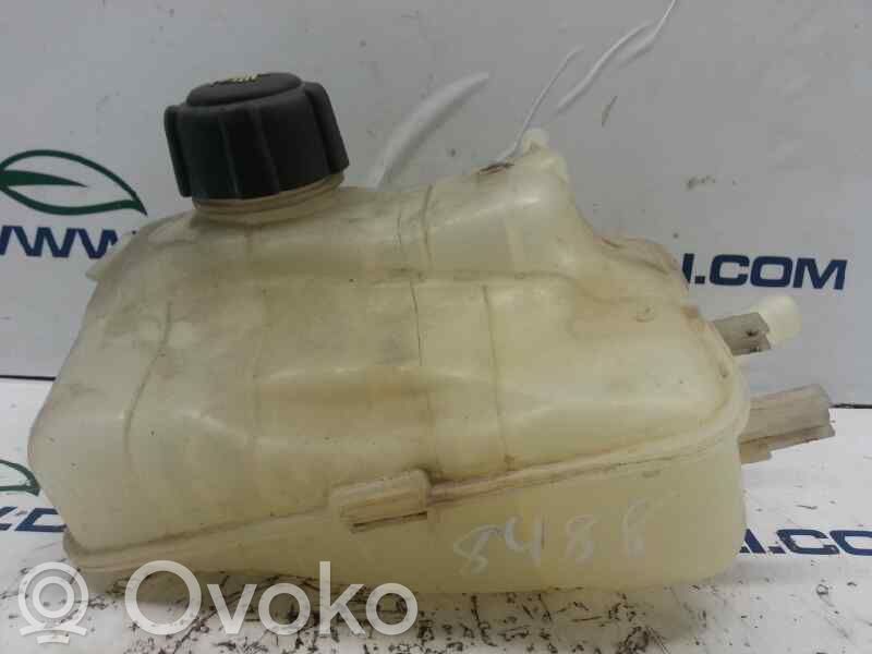 Renault Megane III Serbatoio di compensazione del liquido refrigerante/vaschetta