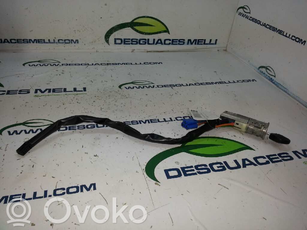 Peugeot 206+ Blocchetto accensione