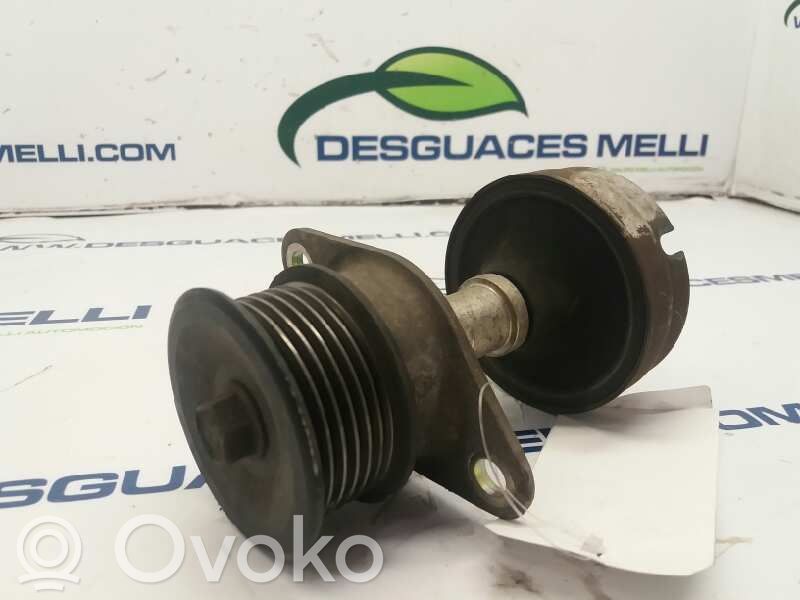 Ford Focus Polea del alternador 