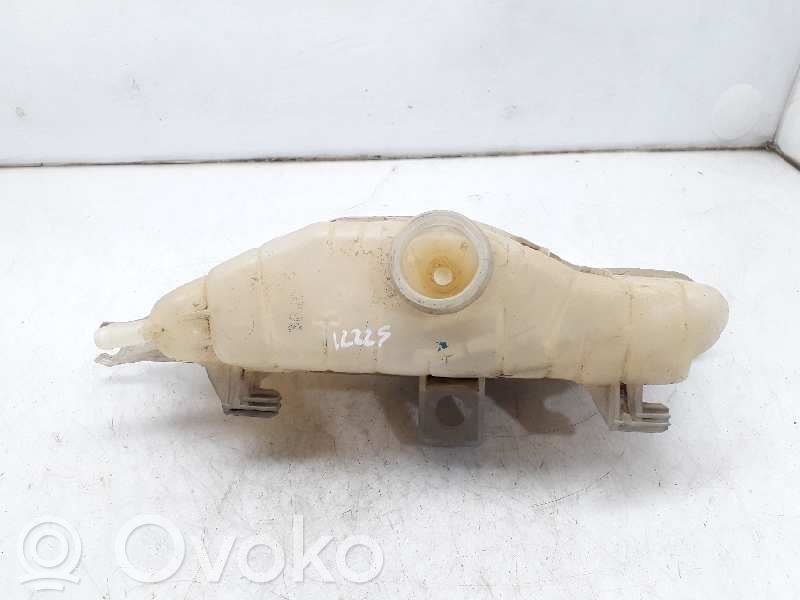 Renault Clio III Aušinimo skysčio išsiplėtimo bakelis 