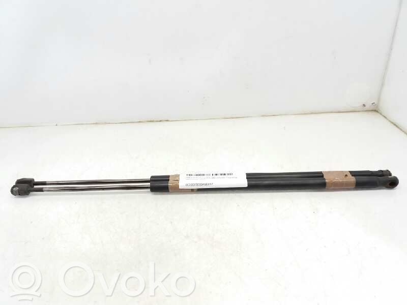 Ford Fiesta Tailgate/trunk strut/damper 