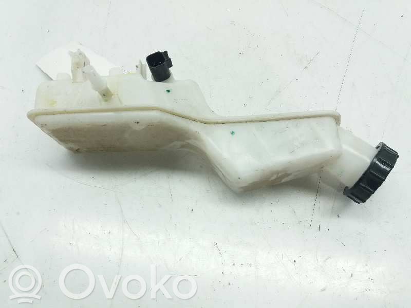 Ford Ecosport Serbatoio/vaschetta del liquido del servosterzo 