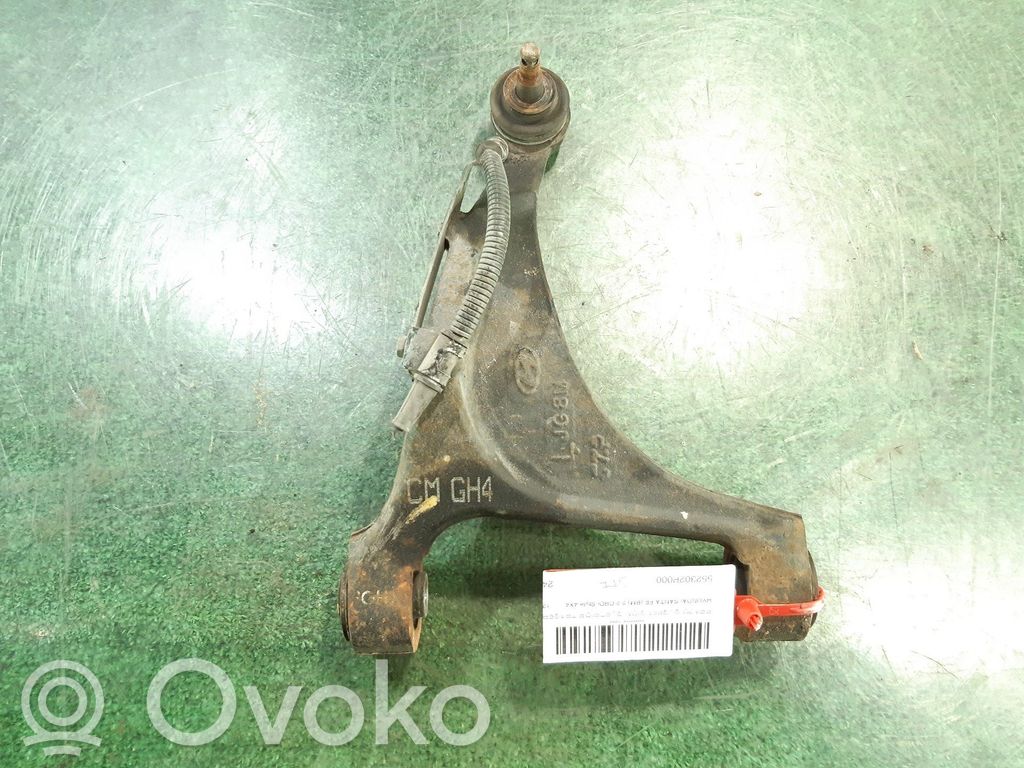 Hyundai Santa Fe Querlenker Achsschenkel hinten 