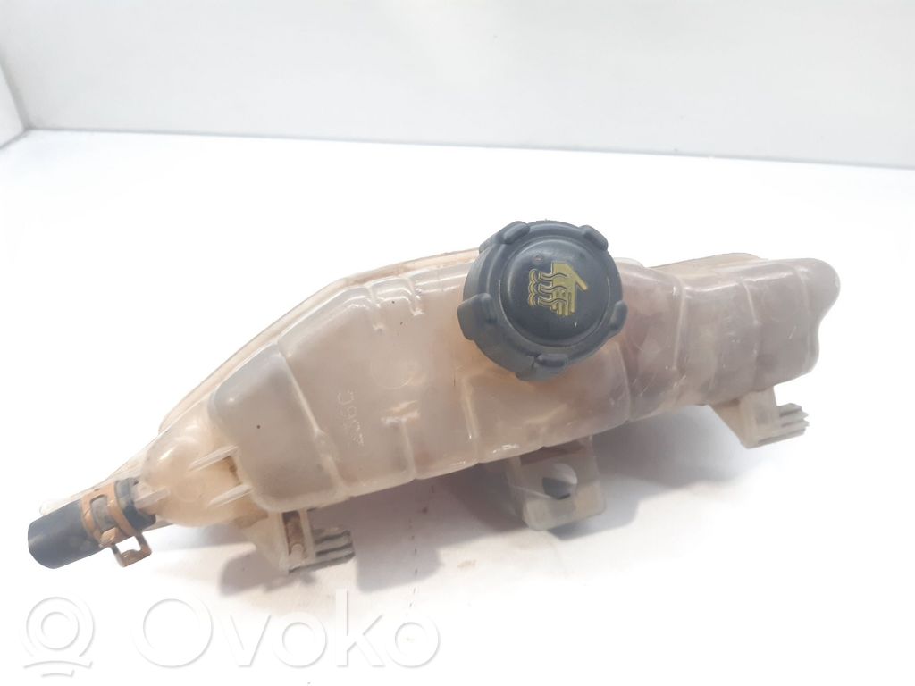 Renault Clio III Aušinimo skysčio išsiplėtimo bakelis 