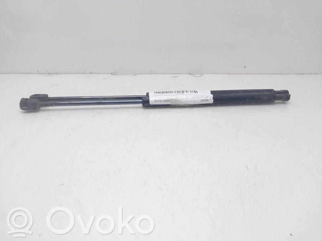 Hyundai Santa Fe Amortizor capotă motor