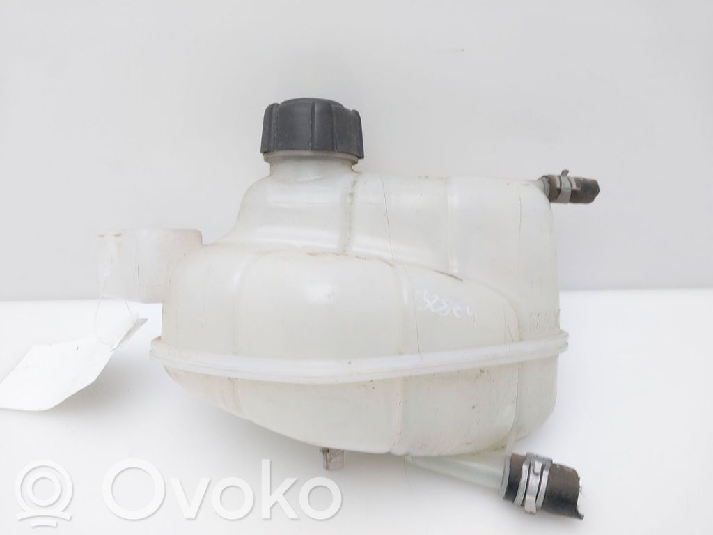 Nissan Qashqai Vas expansiune/rezervor lichid de răcire 